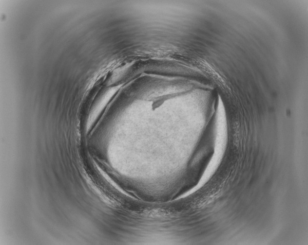 X0000086930634200705071354