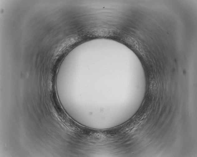 X0000086930635200705071354