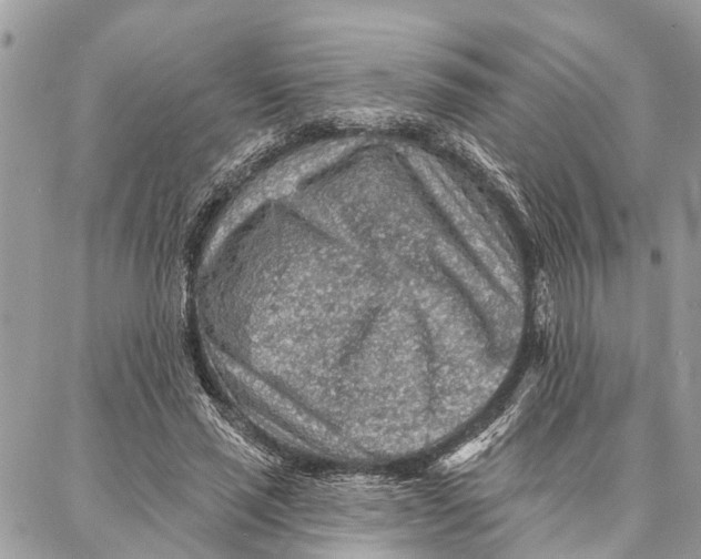 X0000086930637200705071354