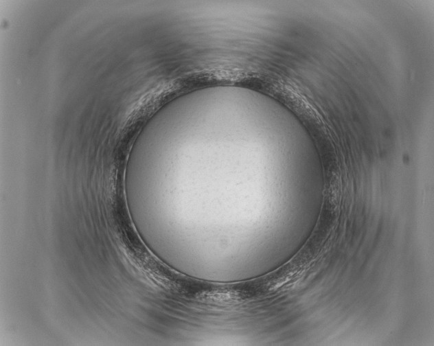 X0000086930639200705071354