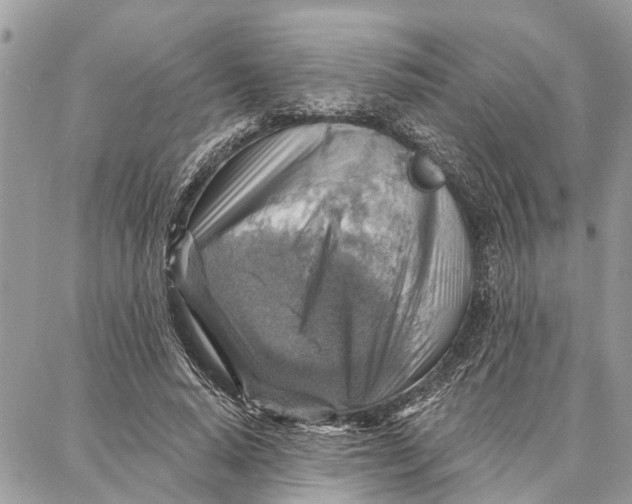 X0000086930640200705071354