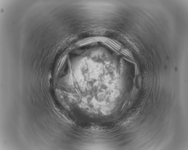 X0000086930641200705071354