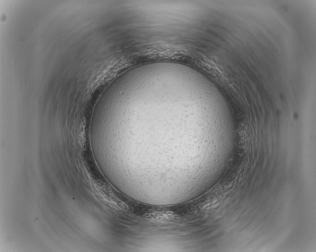 X0000086930642200705071354