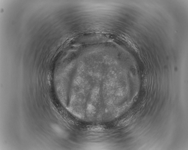 X0000086930643200705071354