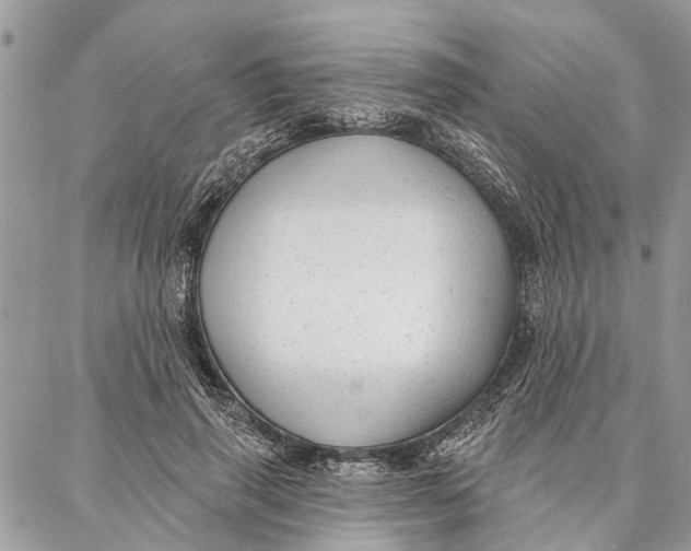 X0000086930645200705071354