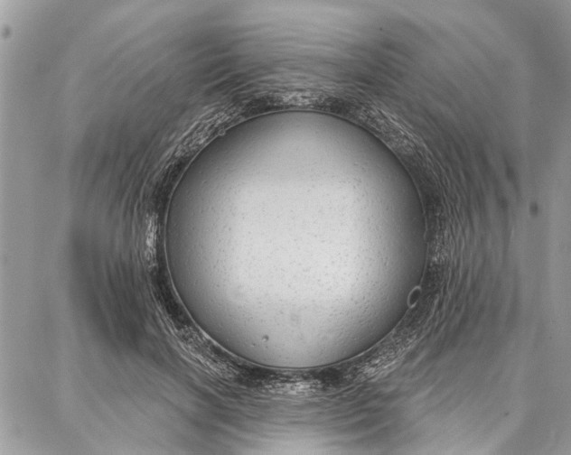 X0000086930646200705071354