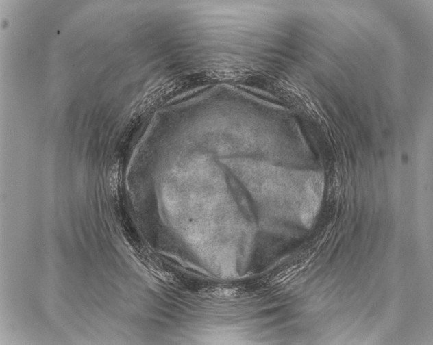 X0000086930647200705071354