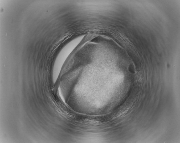 X0000086930648200705071354