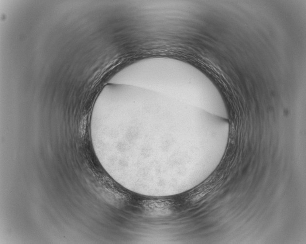 X0000086930652200705071354