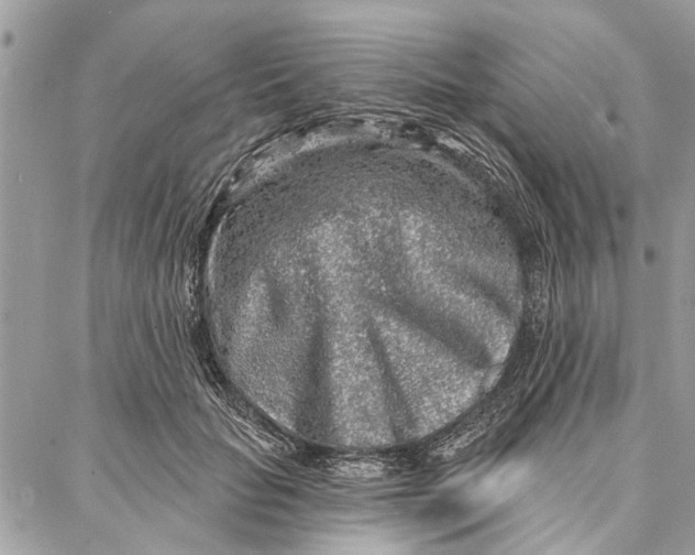 X0000086930653200705071354