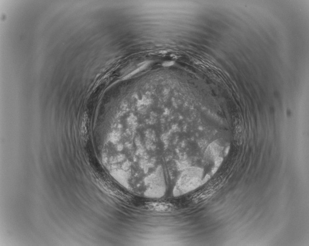 X0000086930654200705071354