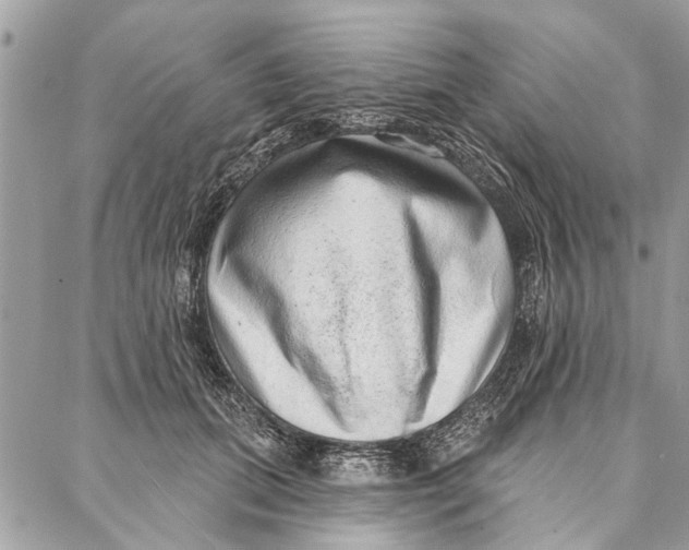 X0000086930655200705071354