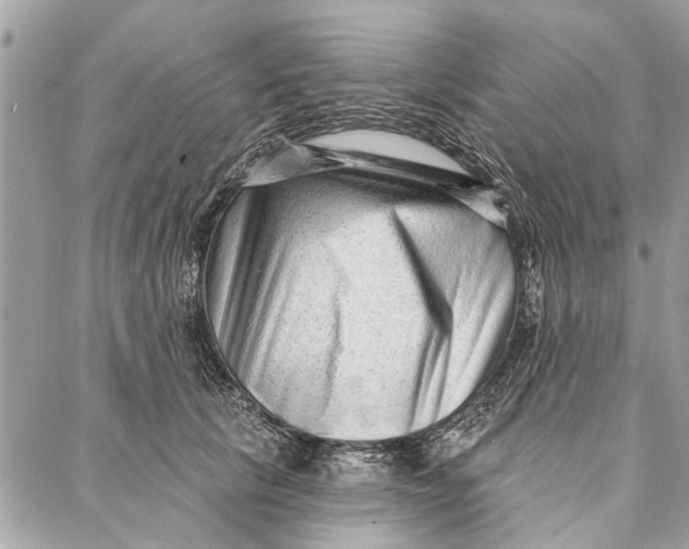 X0000086930657200705071354