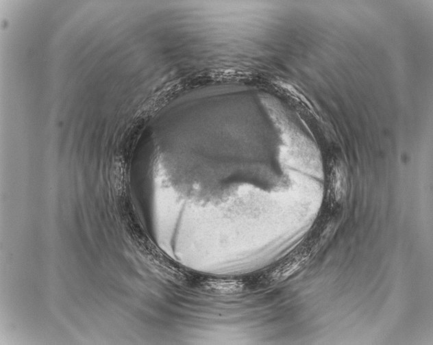 X0000086930659200705071354