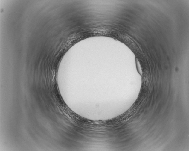 X0000086930660200705071354