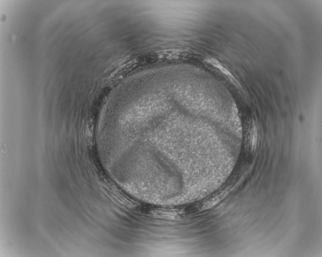 X0000086930661200705071354