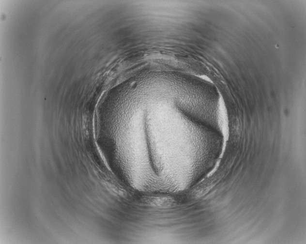 X0000086930663200705071354