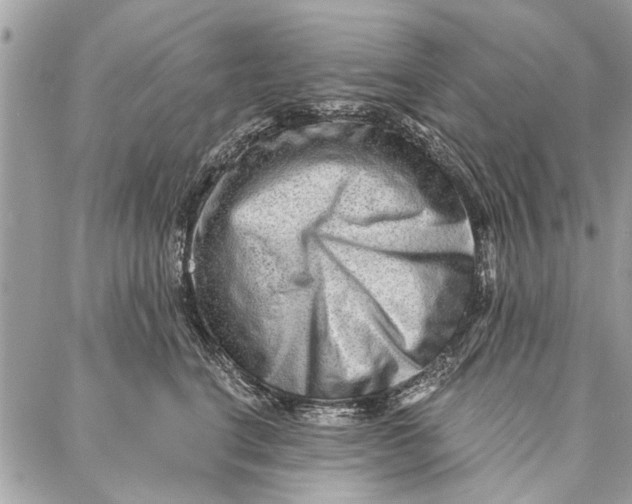 X0000086930664200705071354