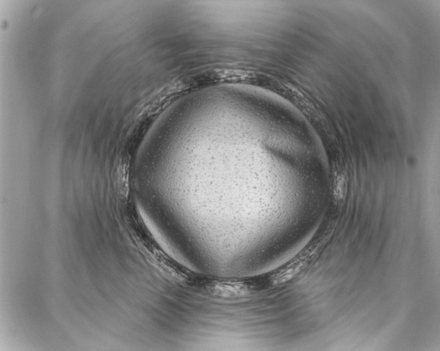 X0000086930666200705071354