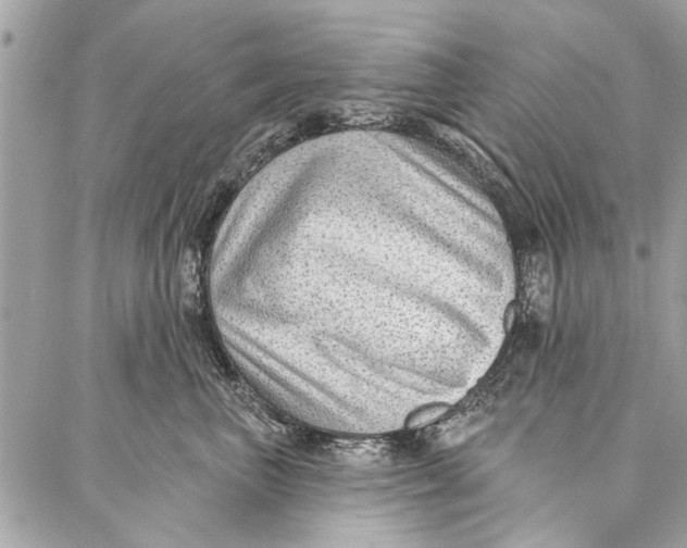 X0000086930667200705071354