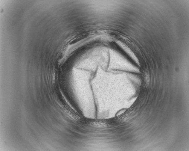 X0000086930668200705071354