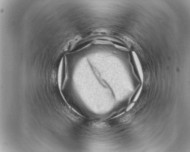 X0000086930669200705071354