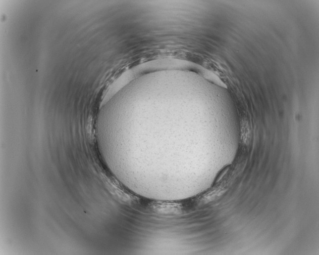 X0000086930670200705071354