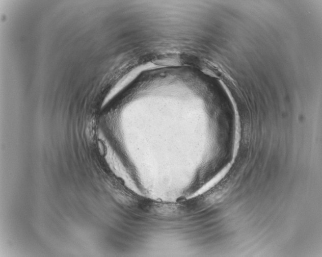 X0000086930671200705071354