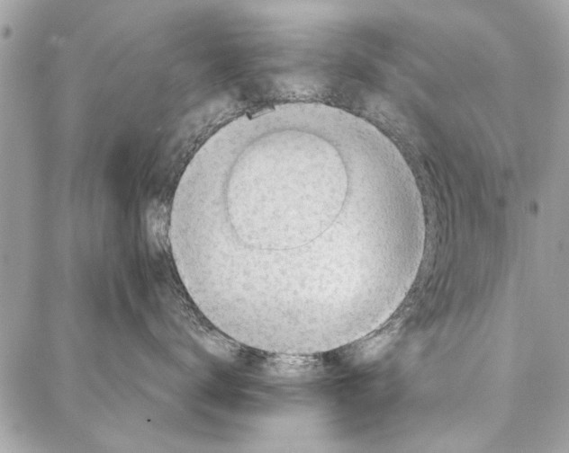 X0000086930672200705071354