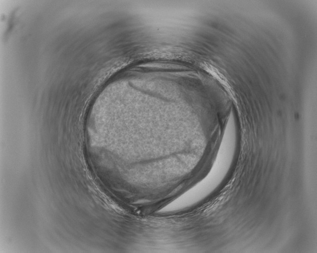 X0000086930673200705071354