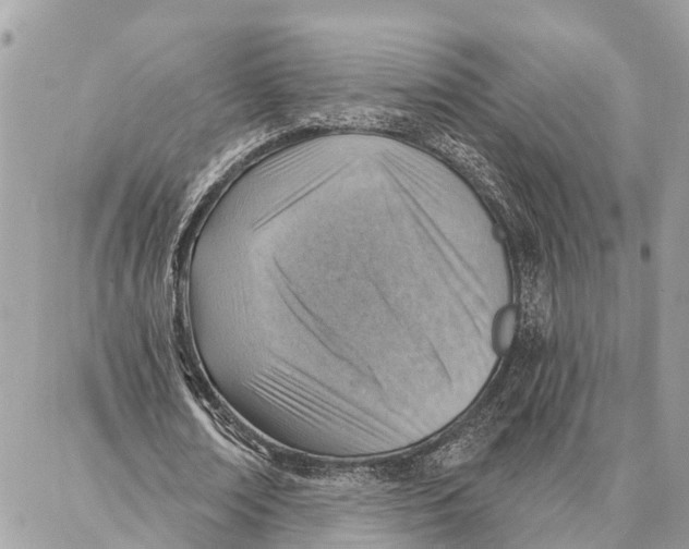 X0000086930674200705071354