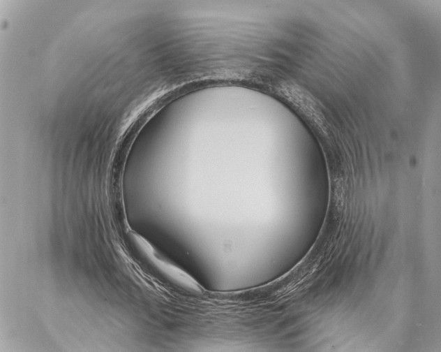 X0000086930676200705071354