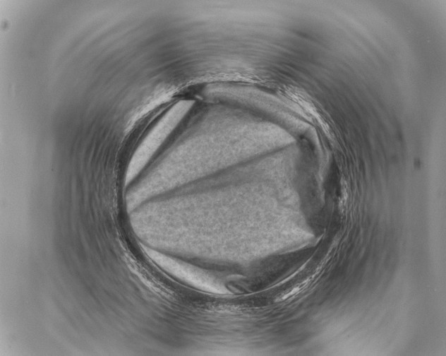 X0000086930677200705071354