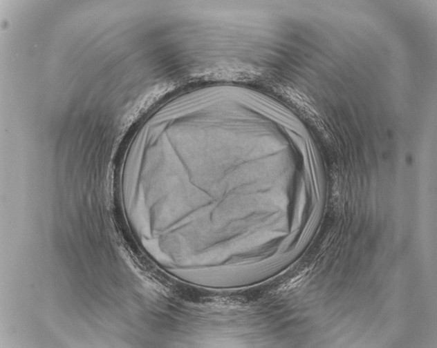 X0000086930678200705071354