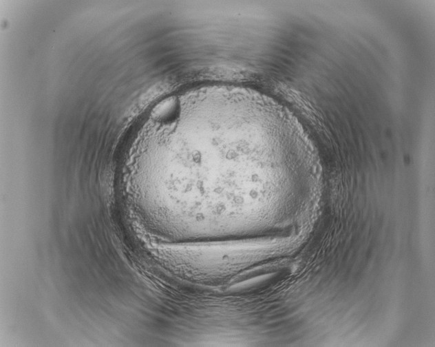 X0000086930679200705071354