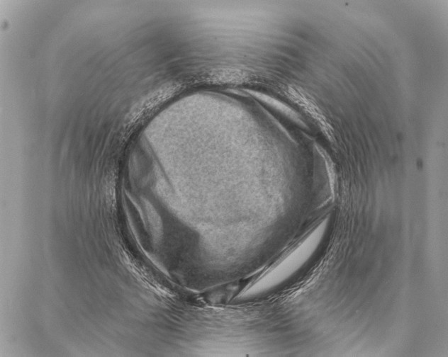 X0000086930681200705071353