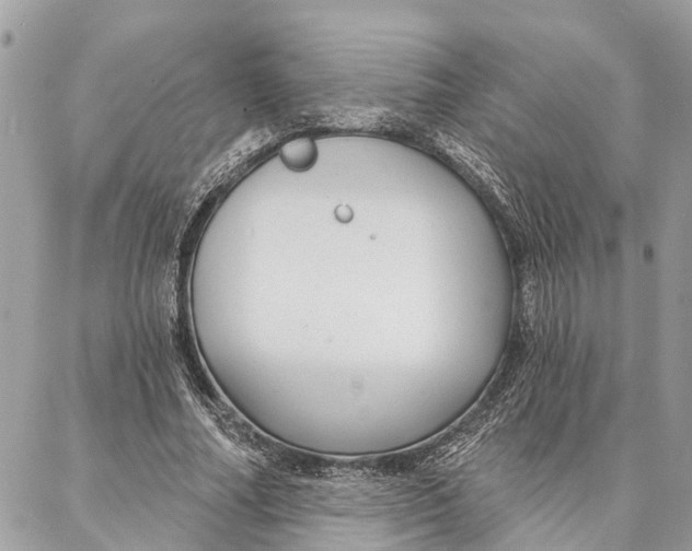 X0000086930682200705071353