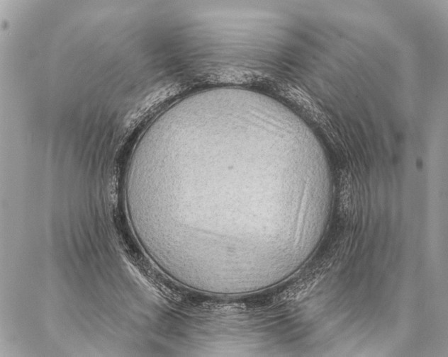 X0000086930683200705071353