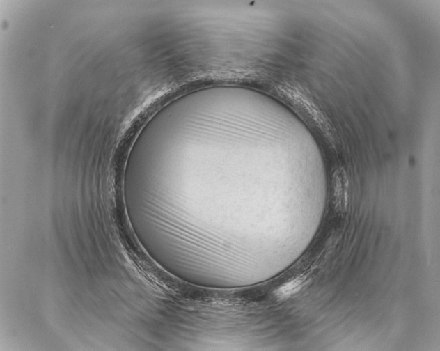 X0000086930684200705071353