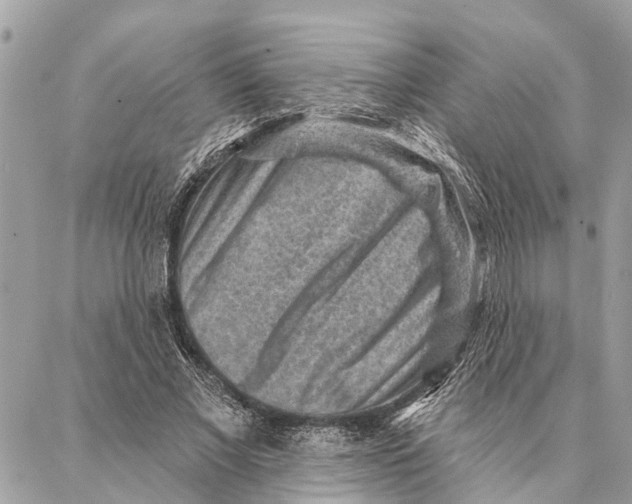 X0000086930685200705071353