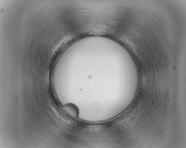 X0000086930686200705071353