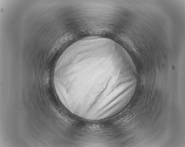 X0000086930687200705071353