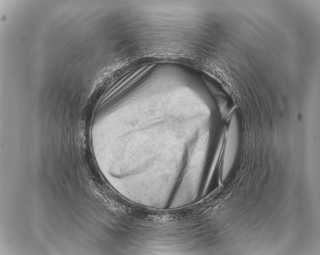 X0000086930688200705071353