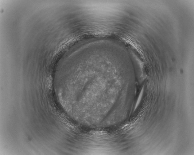 X0000086930689200705071353