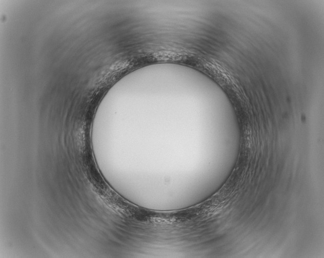 X0000086930690200705071353