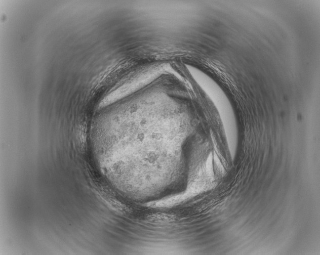 X0000086930691200705071353