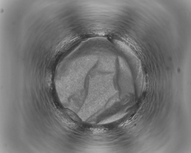 X0000086930693200705071353