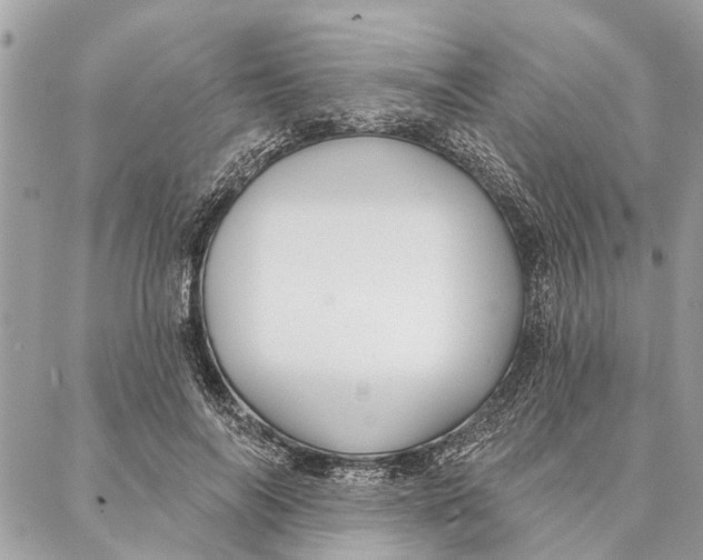 X0000086930694200705071353