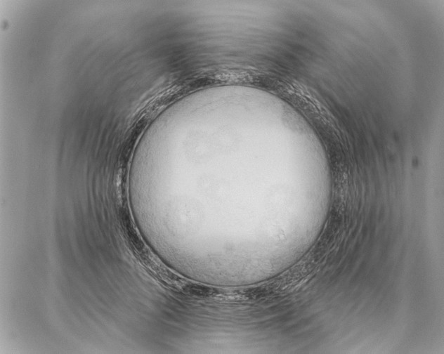 X0000086930696200705071353