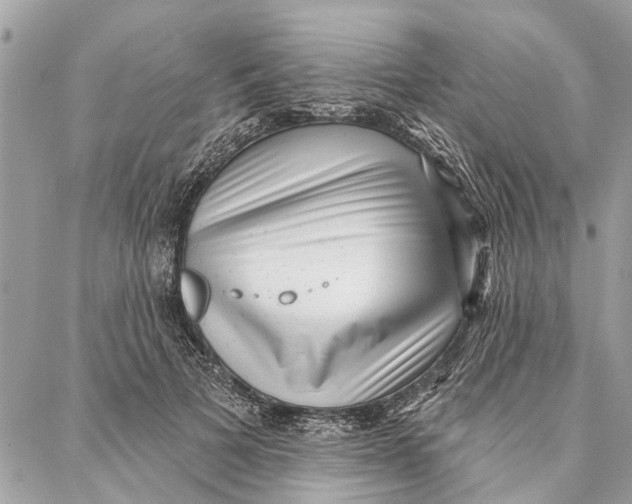 X0000086930697200705071353